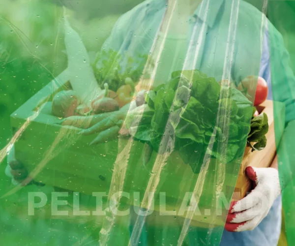 пленка зеленая тепличная