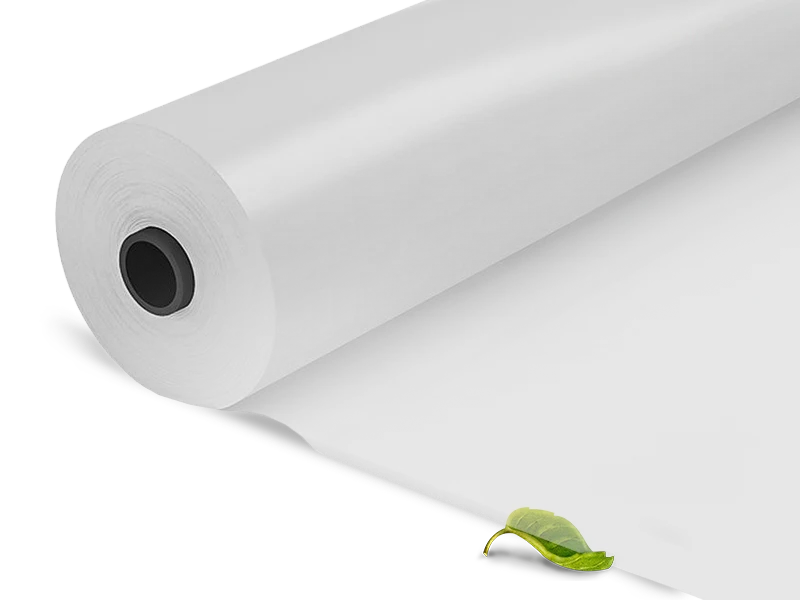 transparent film