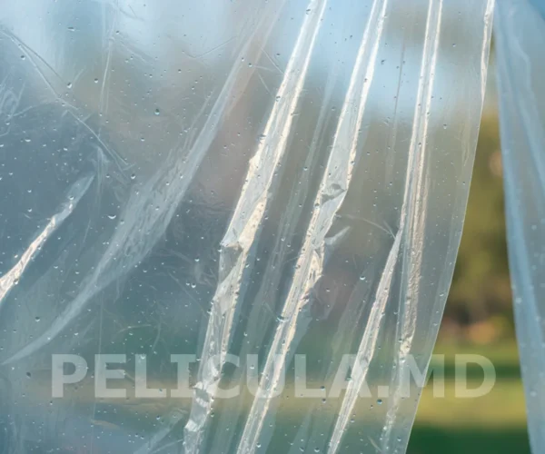 пленка прозрачная микрон