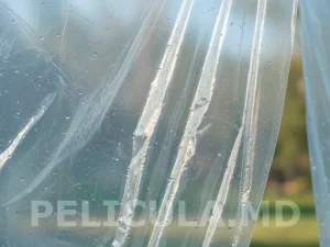 folie_transparent 100 microni