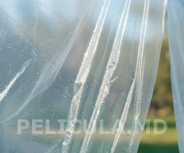 folie transparenta microni