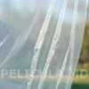 пленка прозрачная плотная