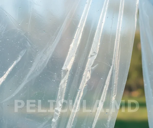 пленка прозрачная плотная