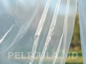 folie transparenta 200 microni