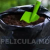 sac_pe_negre_4 мешки черные для мусора