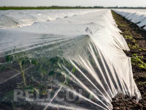 folie mulcire 18 microni